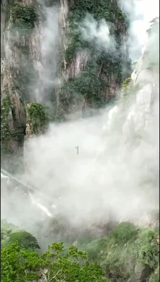 金融活水助民营企业“破茧重生”